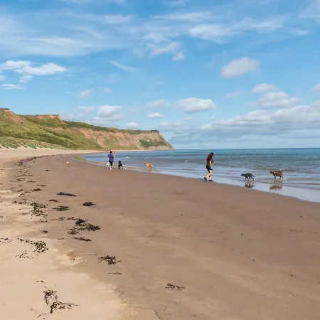 Seasalt * Skinningrove